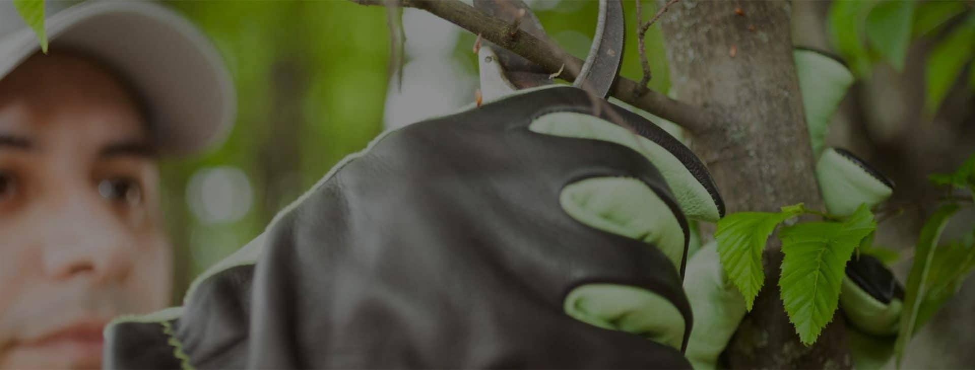 We provide landscaping services since 1978